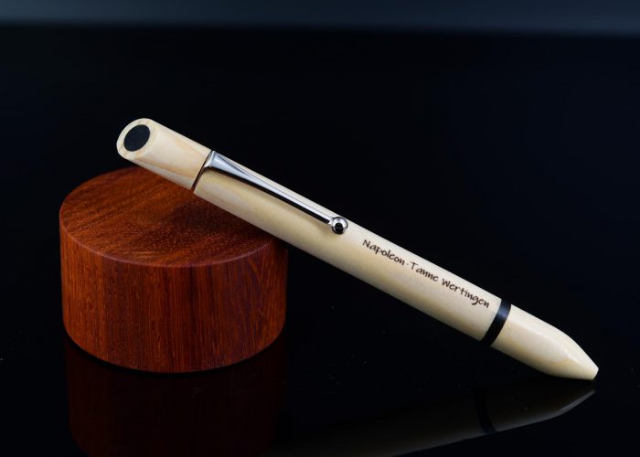 Napoleon-Tanne Wertingen